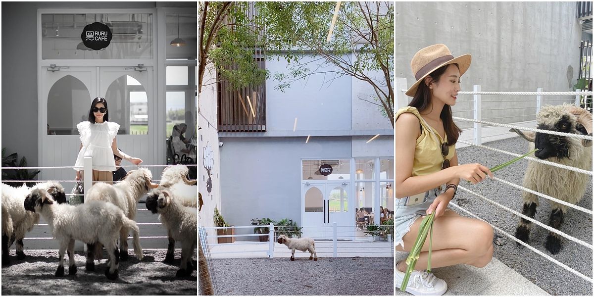 描述: D:\廣編\網文\已完稿\115.宜蘭寵物咖啡廳\page-3.jpg