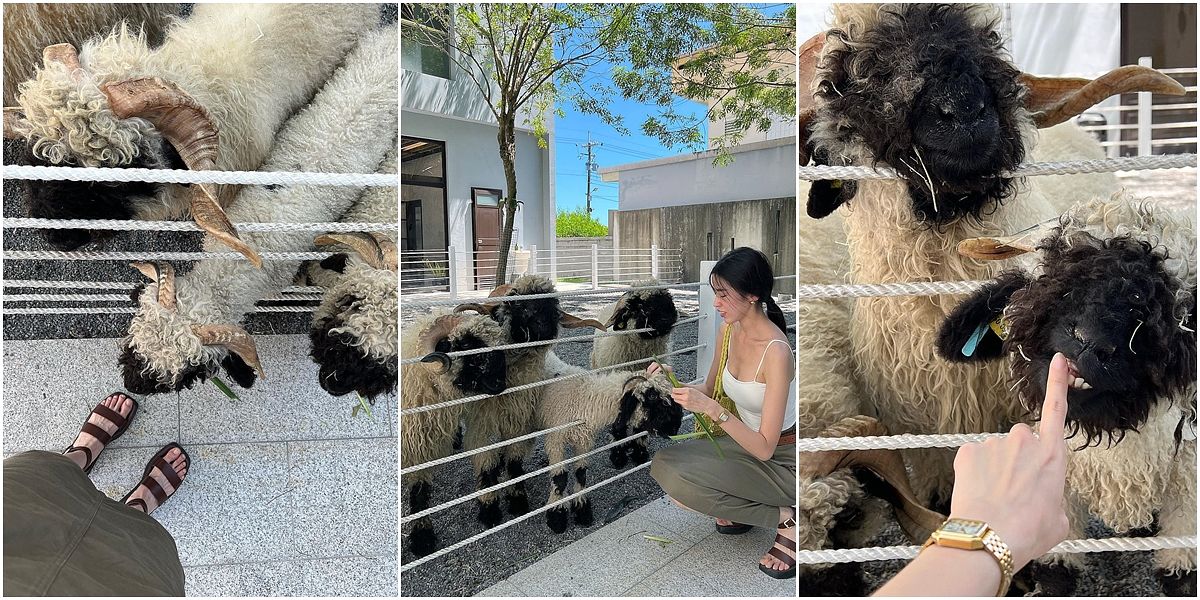 描述: D:\廣編\網文\已完稿\115.宜蘭寵物咖啡廳\page-1.jpg