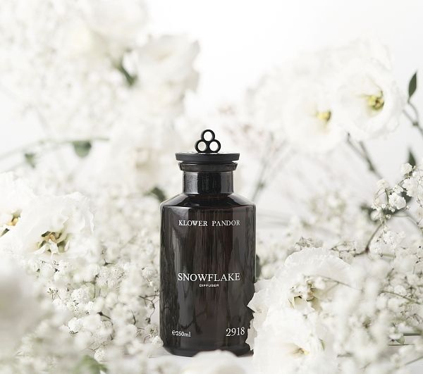 平價擴香推薦KLOWER PANDOR 沉浸式空間擴香系列白麝雪花空間擴香瓶2918