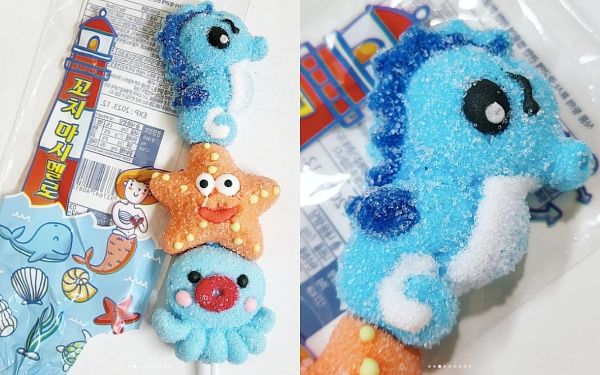 海底生物棉花糖