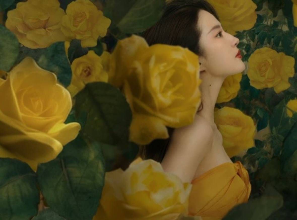 劉亦菲主演陸劇《玫瑰的故事》金句