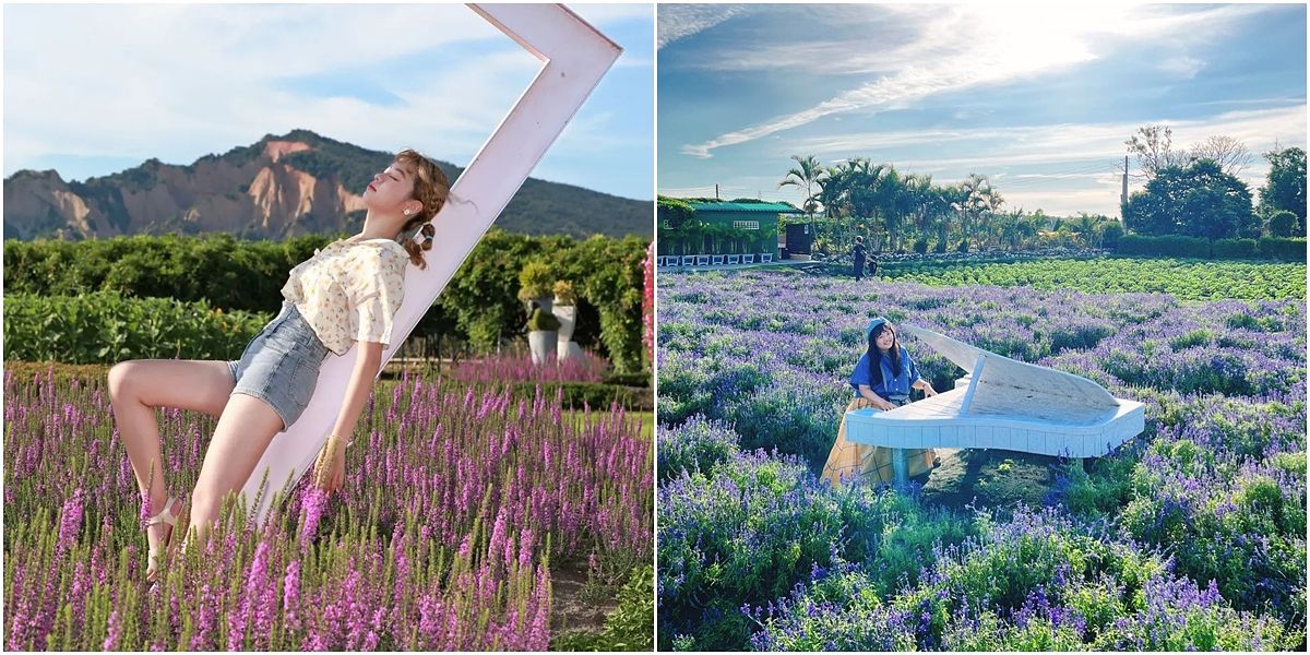 描述: D:\廣編\網文\已完稿\113.中社花市\page.jpg