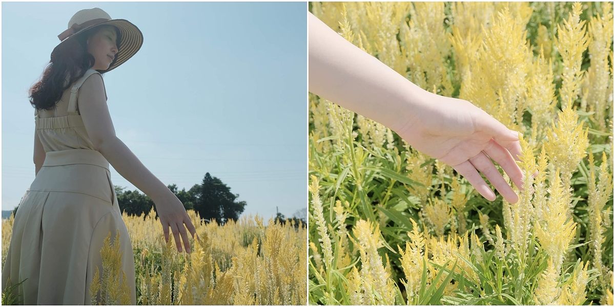 描述: D:\廣編\網文\已完稿\113.中社花市\page-2.jpg