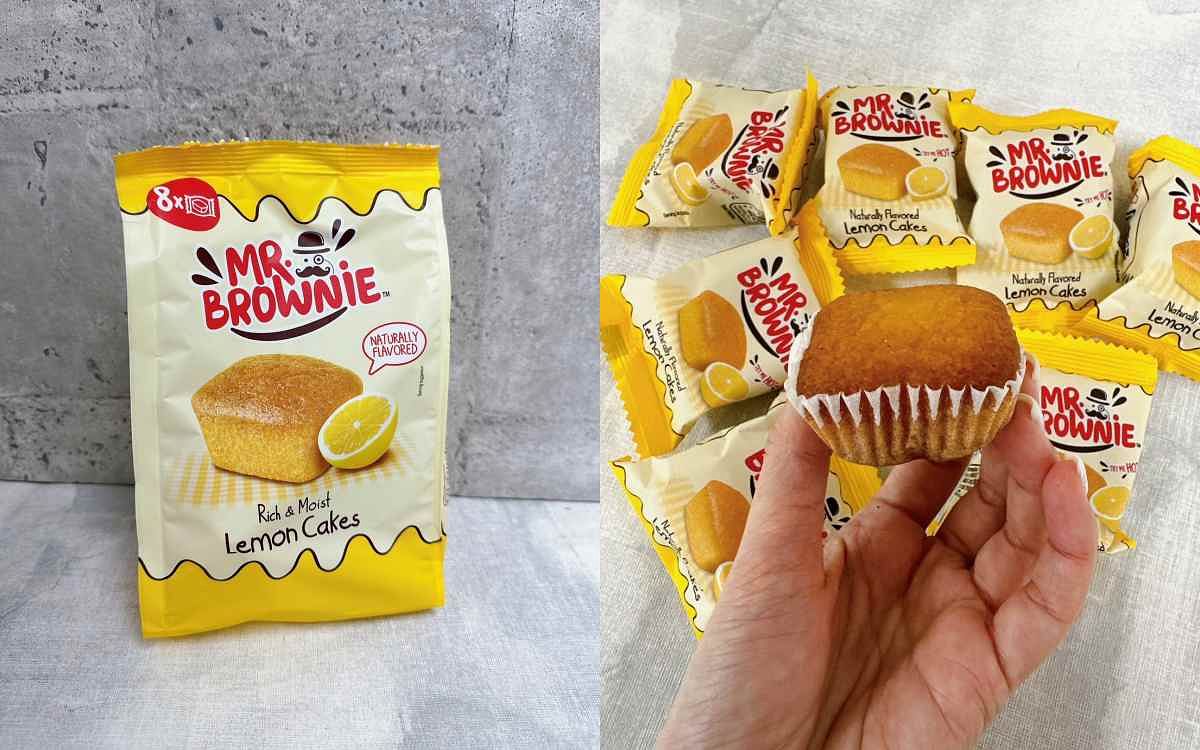 布朗尼先生