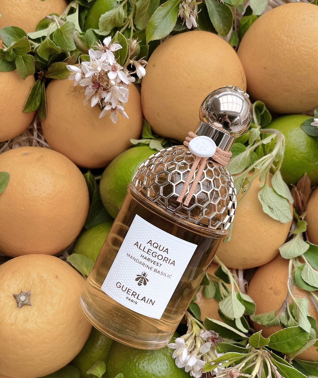 女生春夏香水推薦GUERLAIN嬌蘭花草水語馬佐拉柑橘與羅勒淡香水盛採限定版