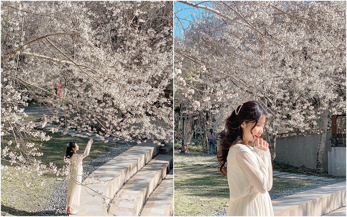 描述: D:\廣編\網文\已完稿\92.霧社櫻\page4.jpg