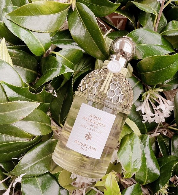 女生春夏香水推薦嬌蘭花草水語卡拉布里亞橙花與花蜜淡香水盛採限定版