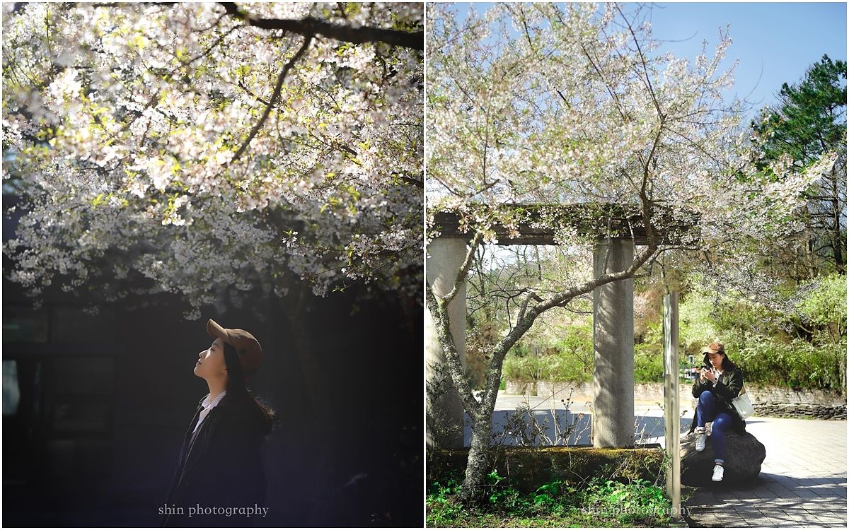 描述: D:\廣編\網文\已完稿\92.霧社櫻\page3.jpg