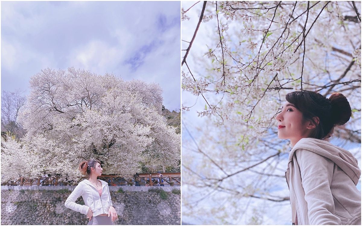 描述: D:\廣編\網文\已完稿\92.霧社櫻\page-2.jpg