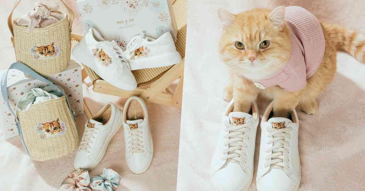 collageGGmeow.jpg