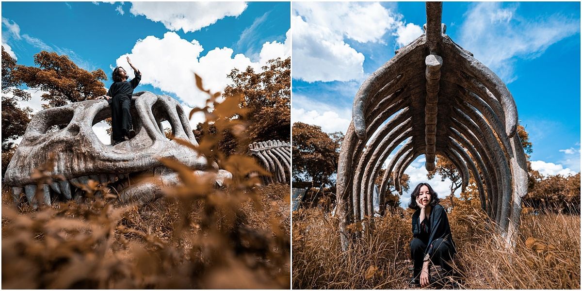 描述: D:\廣編\網文\已完稿\107.恐龍景點\仁德恐龍公園\page-2.jpg