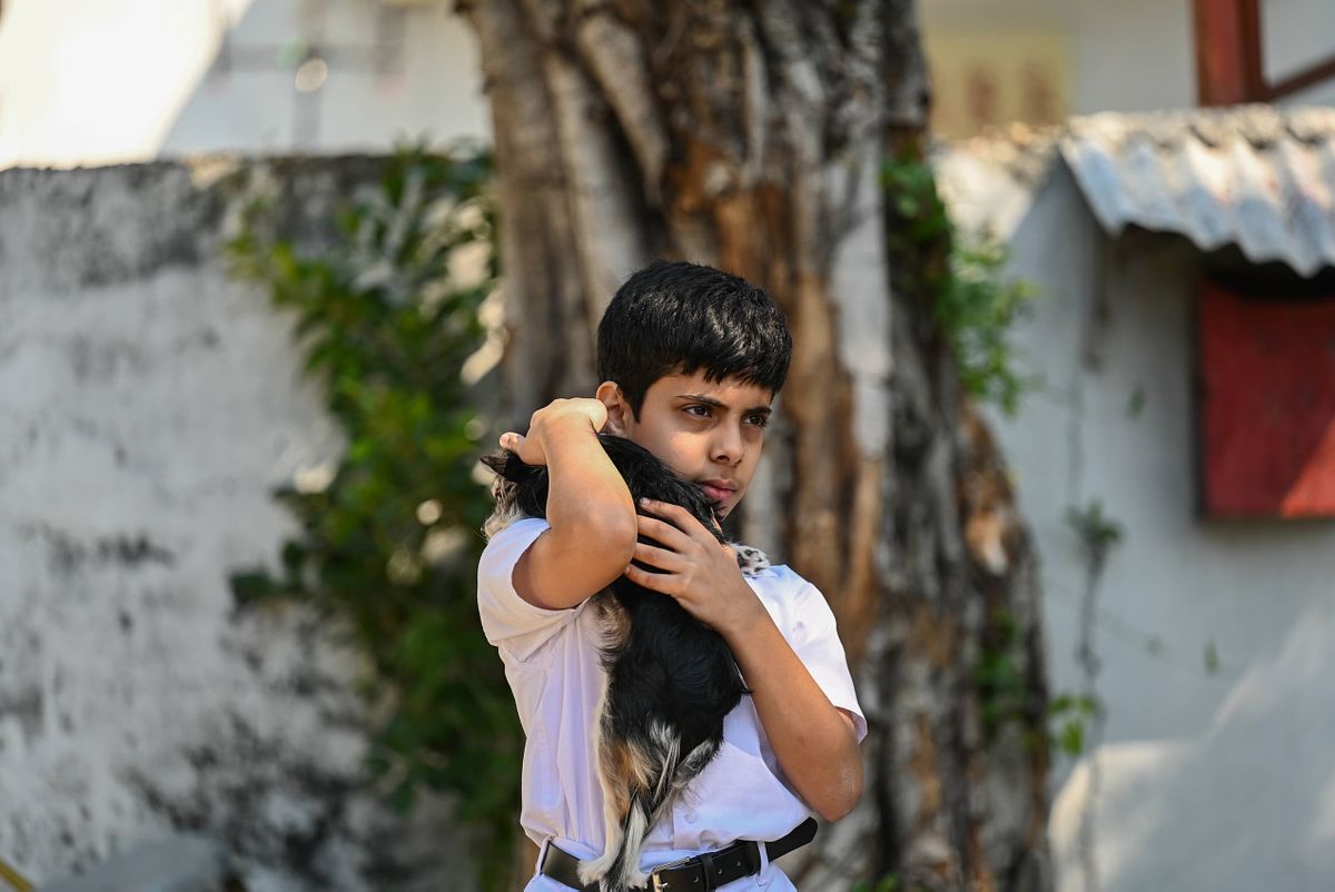 描述: C:\Users\momo\Downloads\白日青春_林諾 Sahal ZAMAN_The Sunny Side of the Street.jpg