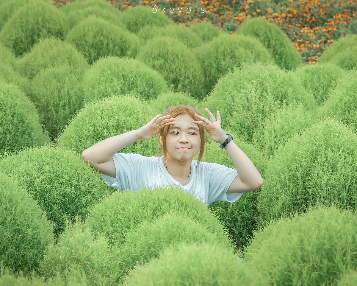 描述: D:\廣編\網文\已完稿\113.中社花市\_okeypis_ (1).jpg