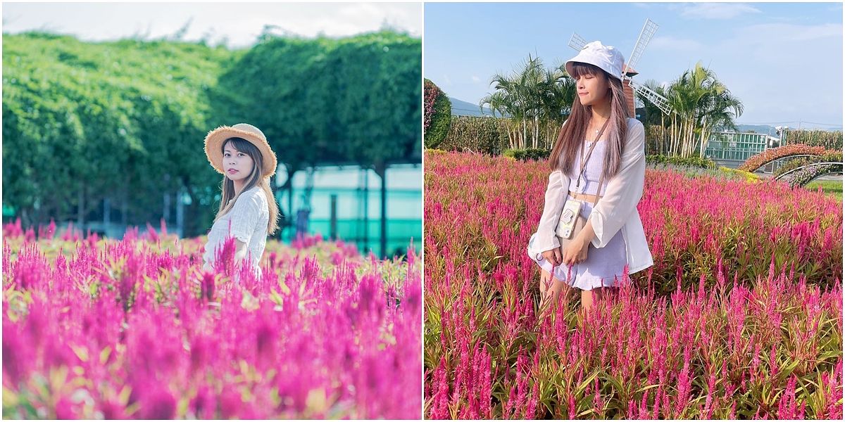 描述: D:\廣編\網文\已完稿\113.中社花市\red-1.jpg