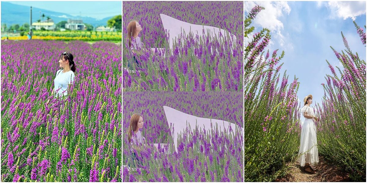 描述: D:\廣編\網文\已完稿\113.中社花市\千曲草page-3.jpg